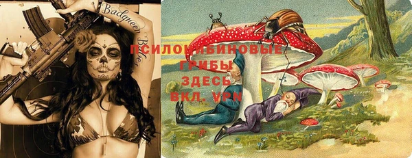 эйфоретик Инта