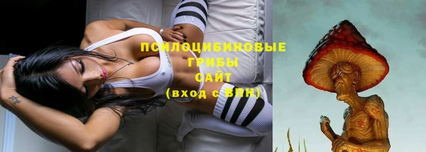 Альфа ПВП Иннополис