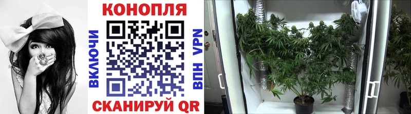 Купить  Остров  Конопля индика 